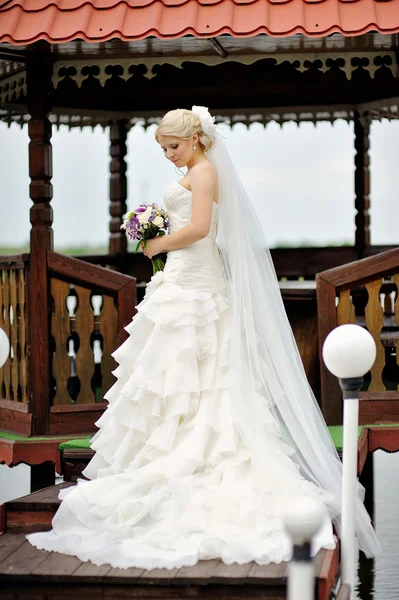 Beautiful bride in a wedding dress — Stock Photo, Image