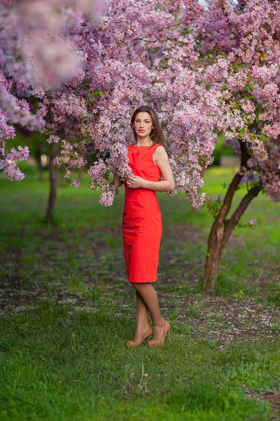 Mulher bonita nova no jardim florescendo — Fotografia de Stock