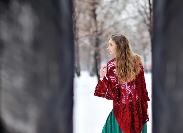 Krásná dívka v zimě zapne — Stock fotografie