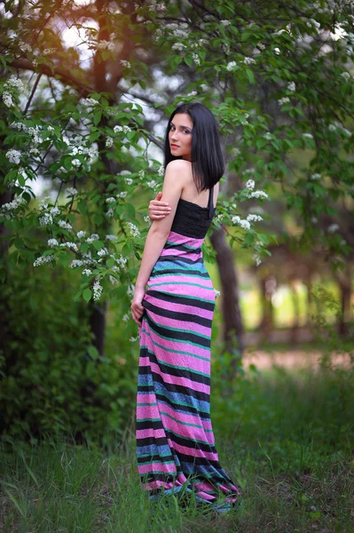 Menina bonita na primavera na floresta — Fotografia de Stock