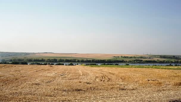 Наклонное поле пшеницы и дорога осенью — стоковое видео