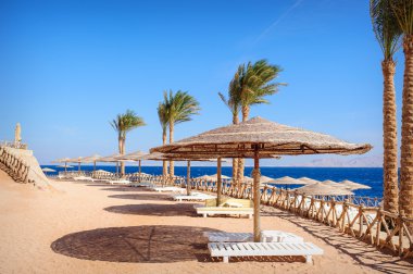 iki sandalye beyaz şemsiye ile plaj 