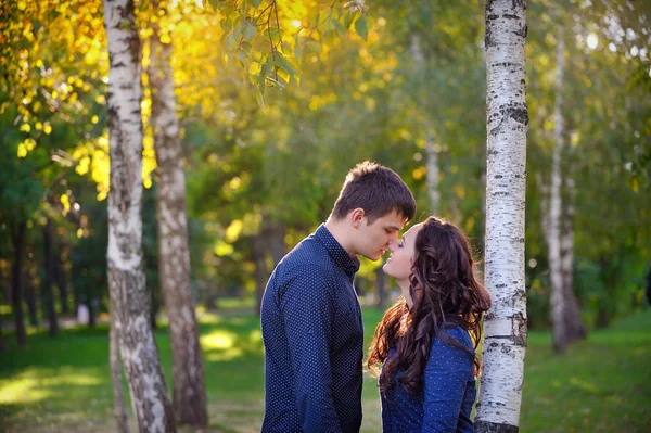 Ungt par i kärlek promenader i parken, alla hjärtans dag — Stockfoto