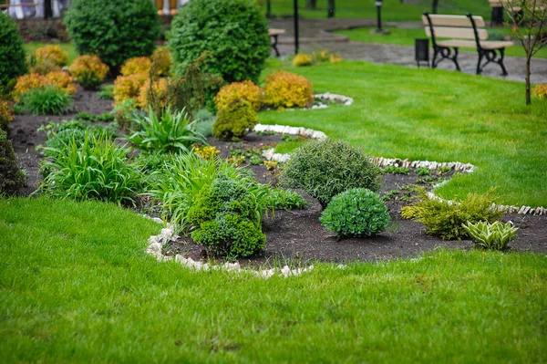 Landscaping in the garden — Stock Image Landscaping in the garden Stock Photo