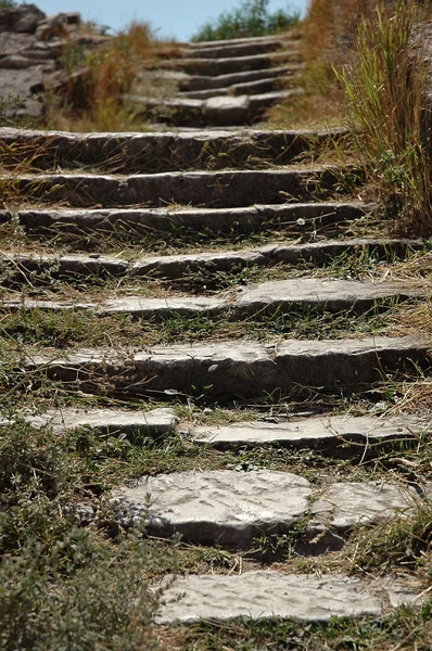 Marches de pierre envahies d'herbe — Photo