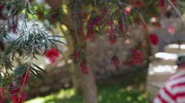 güzel kız parkta yürüyor