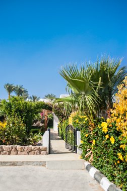 palmiye ağaçları ile Mısır'daki otel cephe 