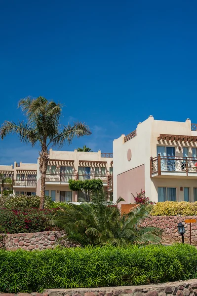 Fachada de hotel en Egipto con palmeras — Foto de Stock