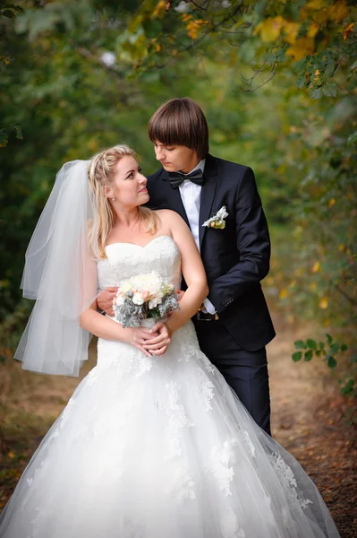 Love the bride and groom in the summer park — Stock Photo, Image