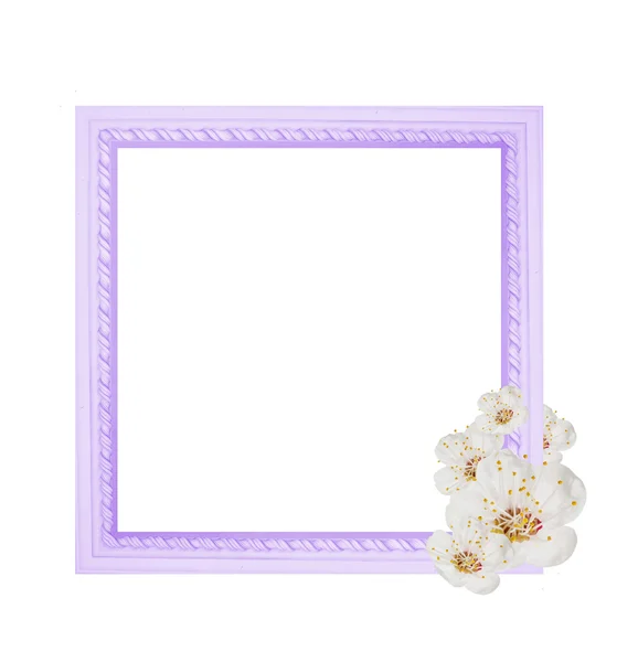 Voorjaar frame met bloemen geïsoleerd op witte achtergrond — Stockfoto