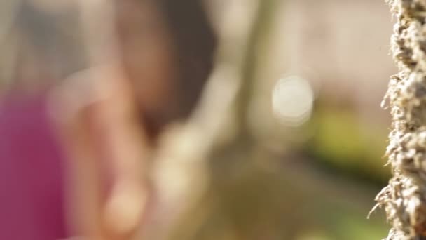 Girl sitting in a hammock — Stock Video