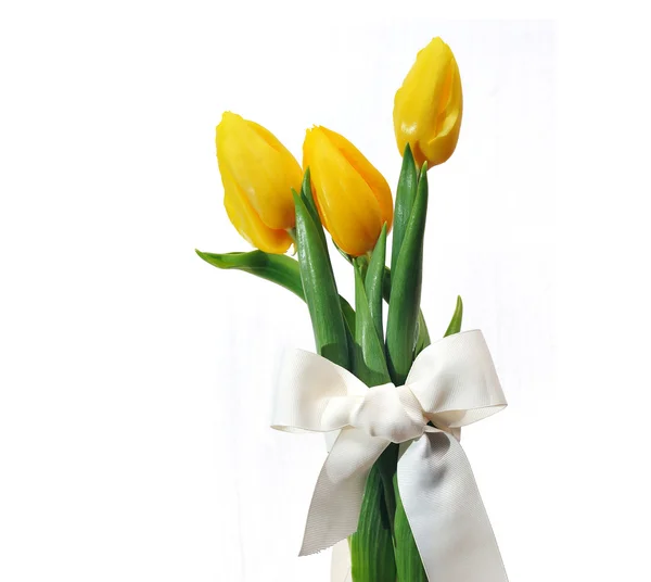 Drie gele tulpen op een witte achtergrond met strik — Stockfoto