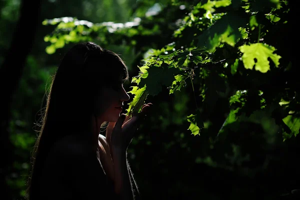 Yaz bahçesinde bir kadın silüeti — Stok fotoğraf