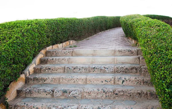 Track walks and stone steps leading down — Stock Photo, Image