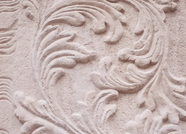 Perte de plantes architecturales en relief — Photo