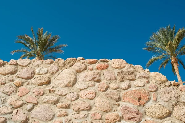 Каменная стена и ладони против голубого неба — стоковое фото