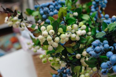 Branch with white and blue berries clipart