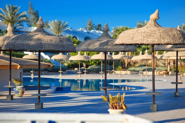 Vista de la piscina con palmeras y sombrillas de paja —  Fotos de Stock