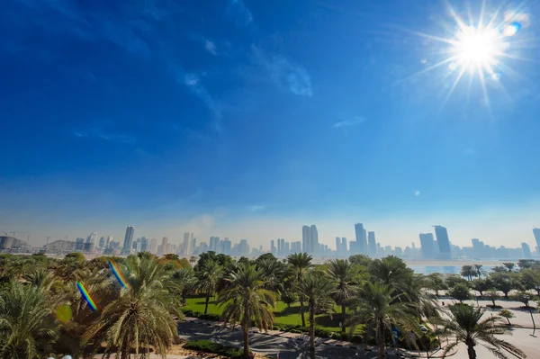 Palm trees and distant view of the city — Stock Photo, Image