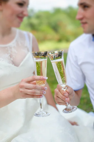 Bride and groom are holding champagne glasses in the park in the — Stock Photo, Image