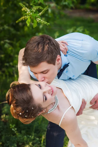 Groom kisses the bride on a background of green leaves in the sp — Stock Photo, Image