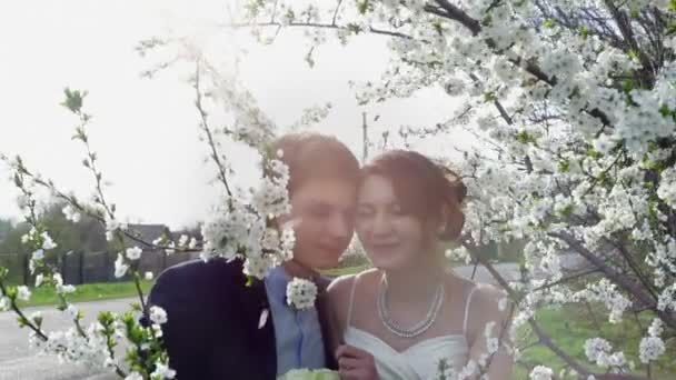 Bride and groom are in the blossoming spring garden — Stock Video