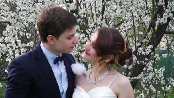 Novia y novio están en el floreciente jardín de primavera — Vídeo de stock