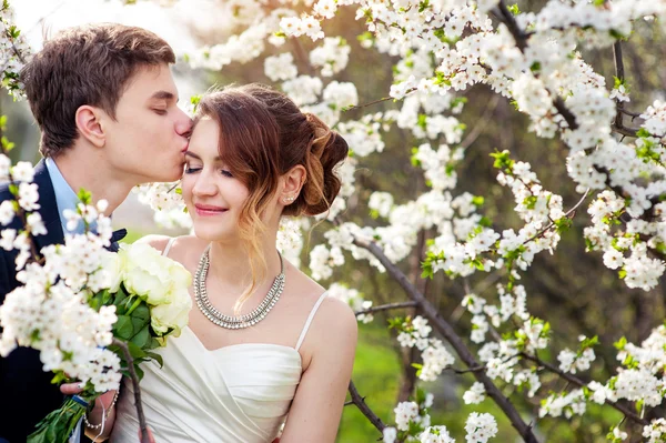 Marié embrasse la mariée sur un fond d'arbres en fleurs — Photo