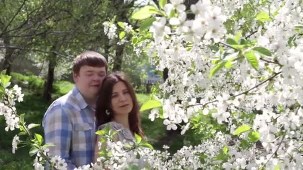 Casal amoroso andando em um parque perto de uma árvore florescente na primavera — Vídeo de Stock