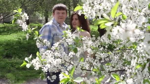 Verliefde paar wandelen in een park in de buurt van een bloeiende boom in het voorjaar — Stockvideo