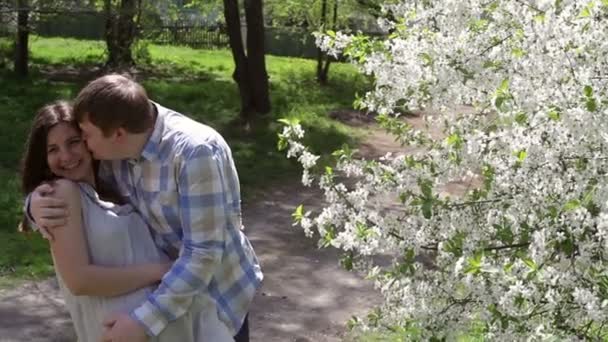 Liebespaar spaziert im Frühling in einem Park in der Nähe eines blühenden Baumes — Stockvideo