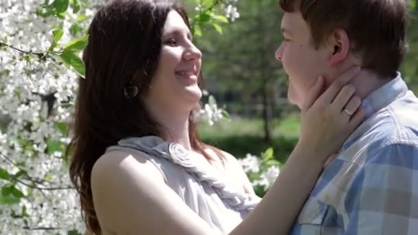 Loving couple walking in a park near a blossoming tree in the spring — Stock Video