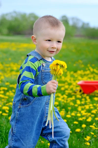 Kleiner Junge geht auf eine Wiese mit gelben Blumen — Stockfoto