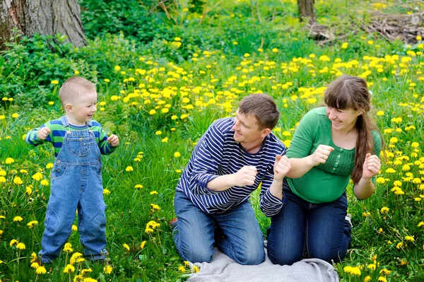 Familia joven caminando por el prado con flores amarillas en primavera — Foto de Stock