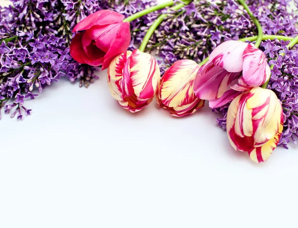 Beautiful frame of lilacs and tulips for greeting card with place your text — Stock Photo, Image