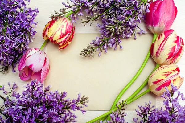 Mooi kader van Seringen en tulpen voor wenskaart met uw tekst plaatsen — Stockfoto