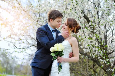 Gelin ve damat çiçek açması içinde yürüyüş Bahçe bahar