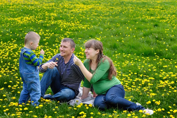 Familia joven caminando en un prado de primavera con flores amarillas — Foto de Stock