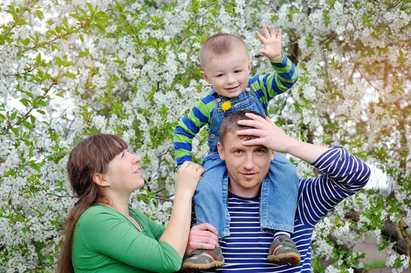 Dad mom and son walking in the blossoming spring garden — Stock Photo, Image