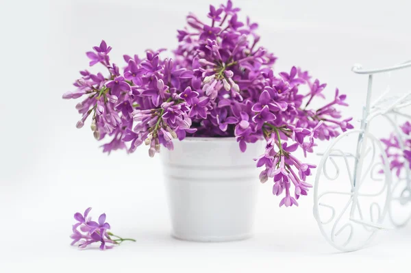 Beautiful bouquet of lilac in basket on a white background — Stock Photo, Image