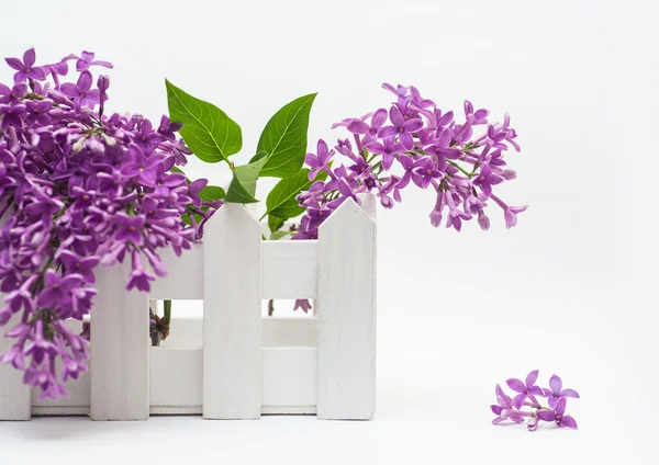 Beautiful bouquet of lilac and a small fence on the white background — Stock Photo, Image