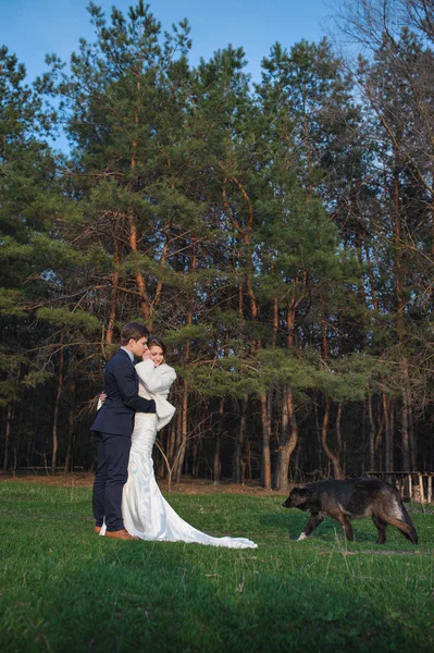 Bride and groom walking near pine forest on the wedding day — Stock Photo, Image