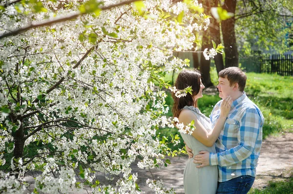 Beautiful newlyweds walking in spring blooming garden — Stock Photo, Image