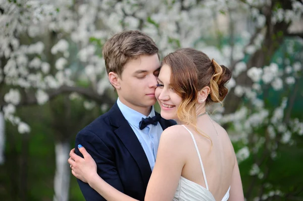 Bruden och brudgummen gå i blommande våren trädgård — Stockfoto