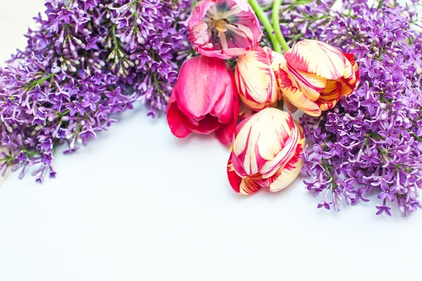 Boeket van tulpen en Lila op een witte achtergrond — Stockfoto