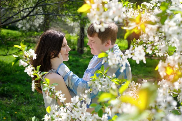 Ungt par i kärlek gå i blommande våren trädgård — Stockfoto