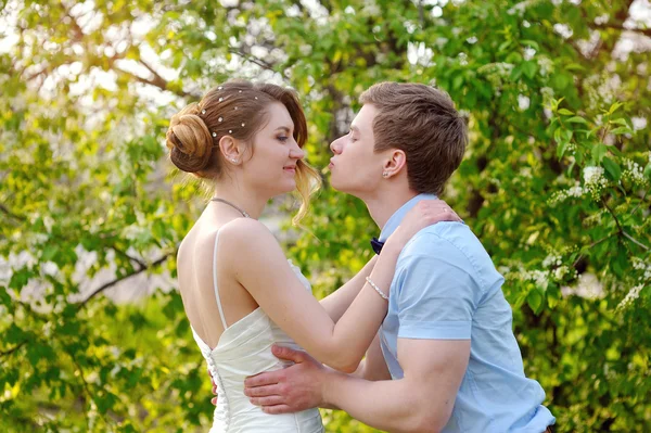 Novia y novio besándose en el jardín de primavera — Foto de Stock