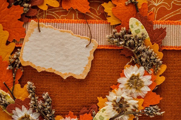 Krásné podzimní výzdoba s listy a značky — Stock fotografie