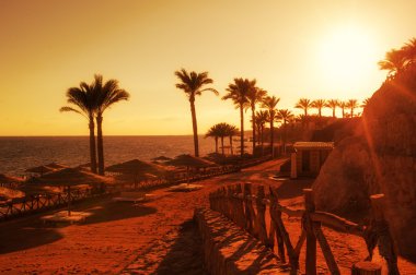 sunset on the beach with sun umbrellas and beds