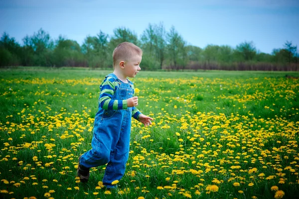 Kleiner Junge geht auf eine Wiese — Stockfoto